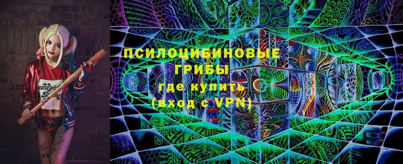 Галлюциногенные грибы MAGIC MUSHROOMS  сайты даркнета как зайти  Георгиевск  дарнет шоп 