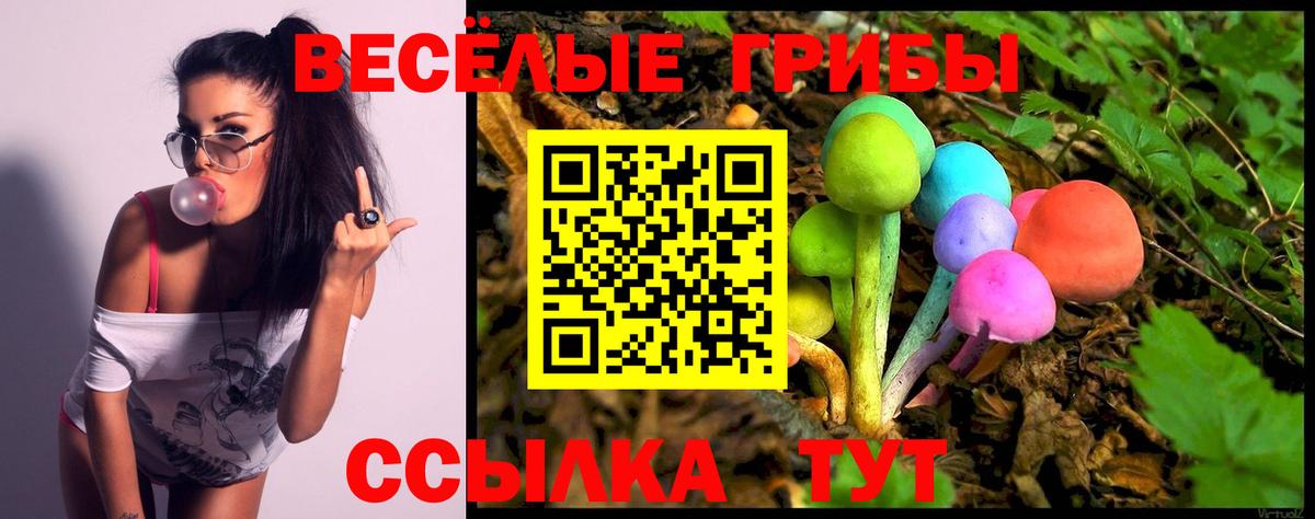 Георгиевск  Галлюциногенные грибы мицелий  Вход с VPN 